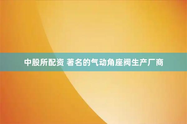 中股所配资 著名的气动角座阀生产厂商
