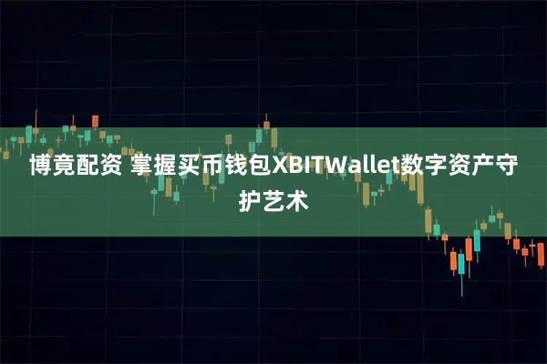 博竟配资 掌握买币钱包XBITWallet数字资产守护艺术