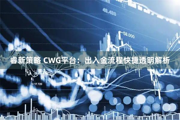 睿新策略 CWG平台：出入金流程快捷透明解析