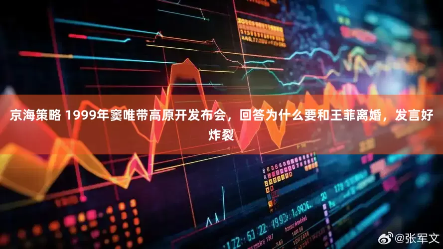 京海策略 1999年窦唯带高原开发布会，回答为什么要和王菲离婚，发言好炸裂